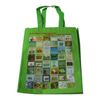 玉林LB11覆膜无纺布广告袋