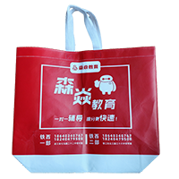 玉林LB37培训班广告袋